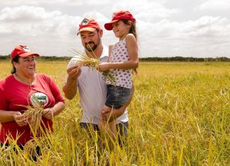 Correios e Movimento dos Trabalhadores Rurais Sem Terra (MST) fazem parceria; entenda