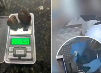 Funcionários de frigorífico são presos suspeitos de furtar pedra de vesícula de boi em Cachoeira Alta