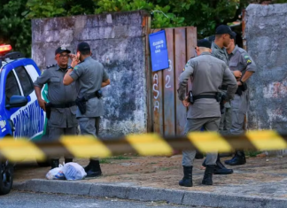 Pit bull que matou bebê o pegou do colo da mãe
