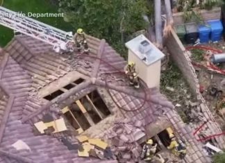 Duas pessoas e um cachorro morrem em queda de avião na Califórnia