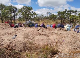 Operação apreende cerca de 700 kg de minerais em ação contra garimpo ilegal