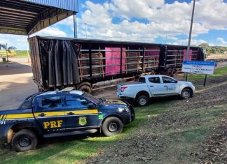 Bitrem carregado com madeira é apreendido ao tentar descarregar carga em fazenda de Anápolis