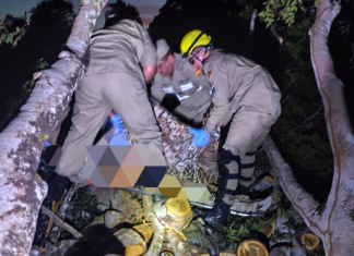 Homem morre após ser atingido por tronco de árvore enquanto trabalhava em fazenda de Goiás