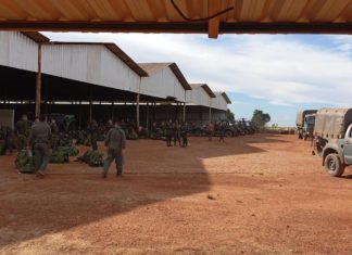 MILITAR MORRE DURANTE TREINAMENTO DE PARAQUEDISMO DO EXÉRCITO EM MOZARLÂNDIA