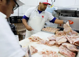 Gripe aviária: 16 países suspendem restrição à carne brasileira
