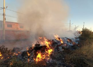 INCÊNDIO EM TERRENO BALDIO NO BAIRRO ESMERALDA, EM QUIRINÓPOLIS, COLOCA GESTANTE E IDOSA EM RISCO
