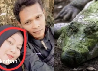 Grávida é arrastada e morta por crocodilo enquanto preparava almoço na Indonésia