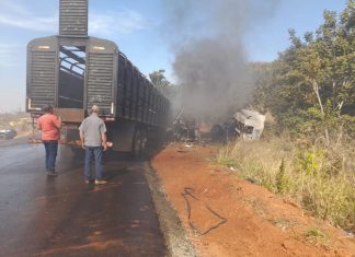 TRAGÉDIA NA GO-184: MOTORISTAS MORREM APÓS CARRETAS DA MESMA EMPRESA COLIDIREM DE FRENTE EM APORÉ