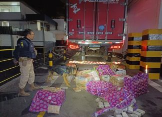 PRF apreende aproximadamente 400 kg de Maconha em carregamento de carne na BR 262 em MG