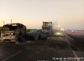 MOTORISTA MORRE CARBONIZADO APÓS COLISÃO ENTRE CAMINHÕES NA BR-153, EM MORRINHOS