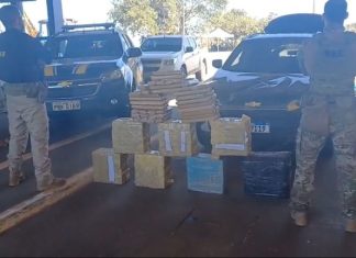 PRF APREENDE CERCA DE 200 KG DE MACONHA NA BR-060, EM GUAPÓ