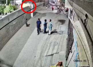 Leão escapa e ataca mulher e crianças no Paquistão; assista