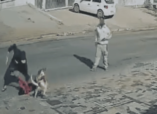 Tentativa de homicídio: jovem é atacado a facadas em rua do DF