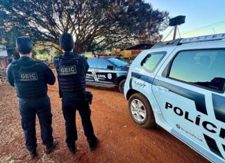 Polícia Civil apreende armas de fogo e munições com investigado por crimes de violência doméstica contra a mãe