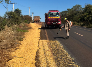 Bombeiros limpam pista após acidente com carga de milho na GO-164, próximo a Quirinópolis