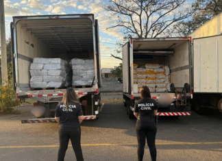 PCGO apreende carga de 12 toneladas de polpa de açaí avaliada em R$ 200 mil e desviada por meio de fraude