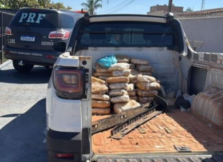 Ação conjunta apreende 90 kg de supermaconha na BR-060 em Indiara