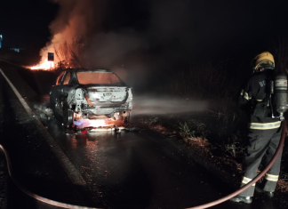 Carro pega fogo na BR-060 e chamas atingem vegetação às margens da rodovia