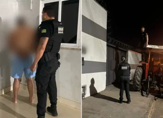 Organização criminosa é investigada por fraudar documentos de movimentações de gado em Goiás