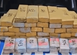 Casal é preso em Goiânia com 47 kg de maconha escondidos no quarto do filho