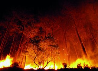 Veja quais foram os 15 municípios de Goiás com mais queimadas em agosto