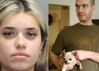 Americano recorre a site de fetiche para matar esposa e ficar com amante brasileira; entenda