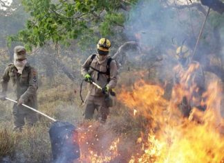 Goiás registra queda de 34% nos focos de queimada em 2025