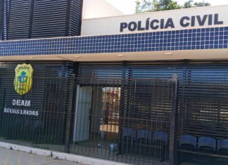 PCGO prende homem que matou gato de ex e ateou fogo na casa dela