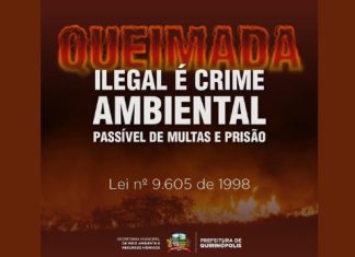 Pense Antes, Preserve Sempre: Queimadas São Crime!