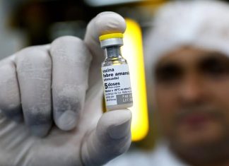 FEBRE AMARELA: SAIBA QUEM PRECISA SE VACINAR APÓS CASOS DA DOENÇA SEREM REGISTRADOS EM GOIÁS