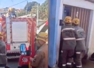 IDOSA MORRE APÓS SER ATACADA POR PIT BULL DO NETO, EM ANÁPOLIS