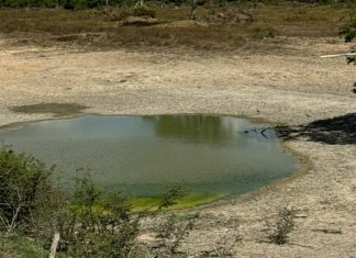 Ação integrada entre PCGO e Semad busca preservar ecossistemas do Lago Luiz Alves e do Rio Araguaia