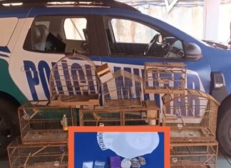 POLÍCIA MILITAR DE GOIÁS PRENDE SUSPEITOS EM FLAGRANTE POR CRIMES AMBIENTAIS, POSSE DE DROGAS E DIREÇÃO PERIGOSA