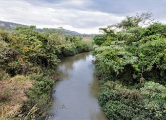 Pesquisa sobre poluição das águas no Cerrado desenvolvida na UEG é eleita a melhor do Brasil em Ciências Ambientais