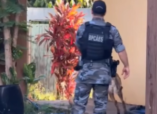 OPERAÇÃO ÁREA LIVRE: POLÍCIA CIVIL COMBATE TRÁFICO DE DROGAS EM CAÇU