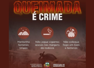 QUEIMADAS: CRIME AMBIENTAL E AMEAÇA À VIDA – PRESERVE O MEIO AMBIENTE!