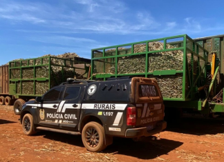 PCGO prende líder de organização criminosa especializada em roubo de tratores e implementos agrícolas