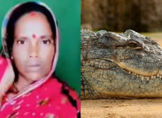 Mulher sai para pescar e é morta por crocodilo; corpo foi achado pela metade