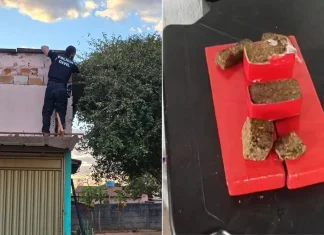 Polícia Civil de Goiás cumpre 58 medidas judiciais contra o tráfico de drogas interestadual