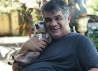 Homem morre após ataque de abelhas em praça de Goiânia