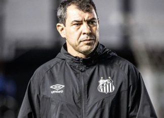 Fábio Carille é o novo técnico do Goiás na reta final da Série B