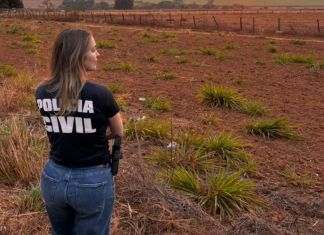 PCGO prende homem em flagrante por divulgar imagens íntimas da ex-companheira em grupo de mensagens