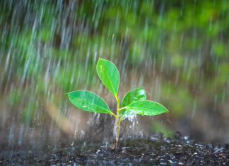 Frente fria pode favorecer pancadas de chuva em Goiás a partir de quinta-feira (09/10)