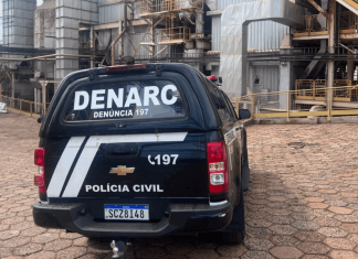 Operação Narke 5: PCGO incinera 5 toneladas de drogas apreendidas em Goiás