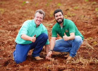 Quirinópolis mais verde: plantio de mudas transforma bairro Alexandrina e reforça cuidado com a população