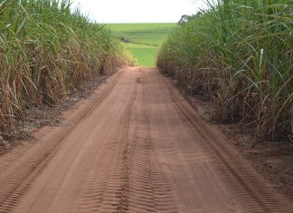 Trabalhadores encontram mulher nua e ferida, em canavial, na zona rural de Gouvelândia