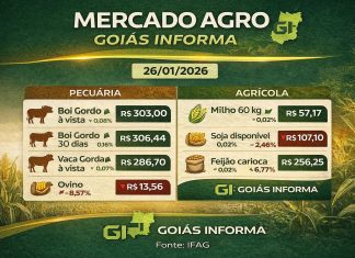 Boi gordo registra leve alta e soja recua no mercado agro em Goiás