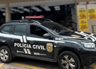 PCGO prende proprietário de supermercado em flagrante após flagrar rato sobre pães em Aparecida de Goiânia