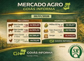 Mercado Agro: confira as cotações desta quarta-feira (28) em Goiás