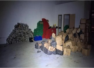 Operação desarticula grupo que trazia toneladas de maconha do Paraná para Goiás